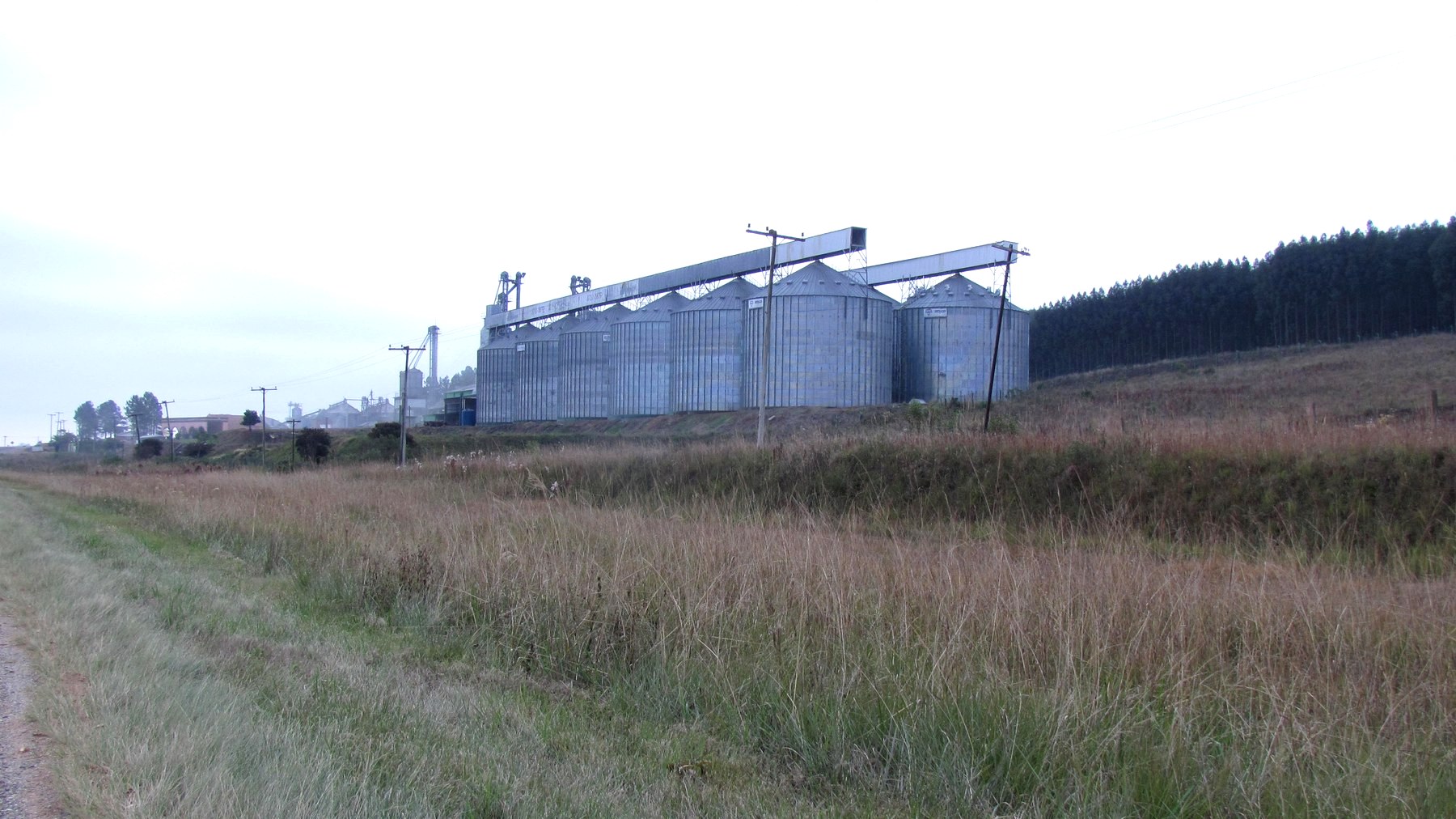 Estrutura industrial de silos para armazenagem de grãos.